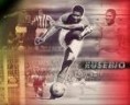 /album/photo-gallery-eusebio/a8-jpg7/