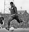 /album/photo-gallery-eusebio/a9-jpg7/